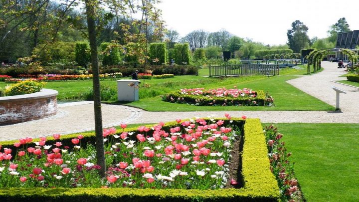 springfields_Gardens_2010_008